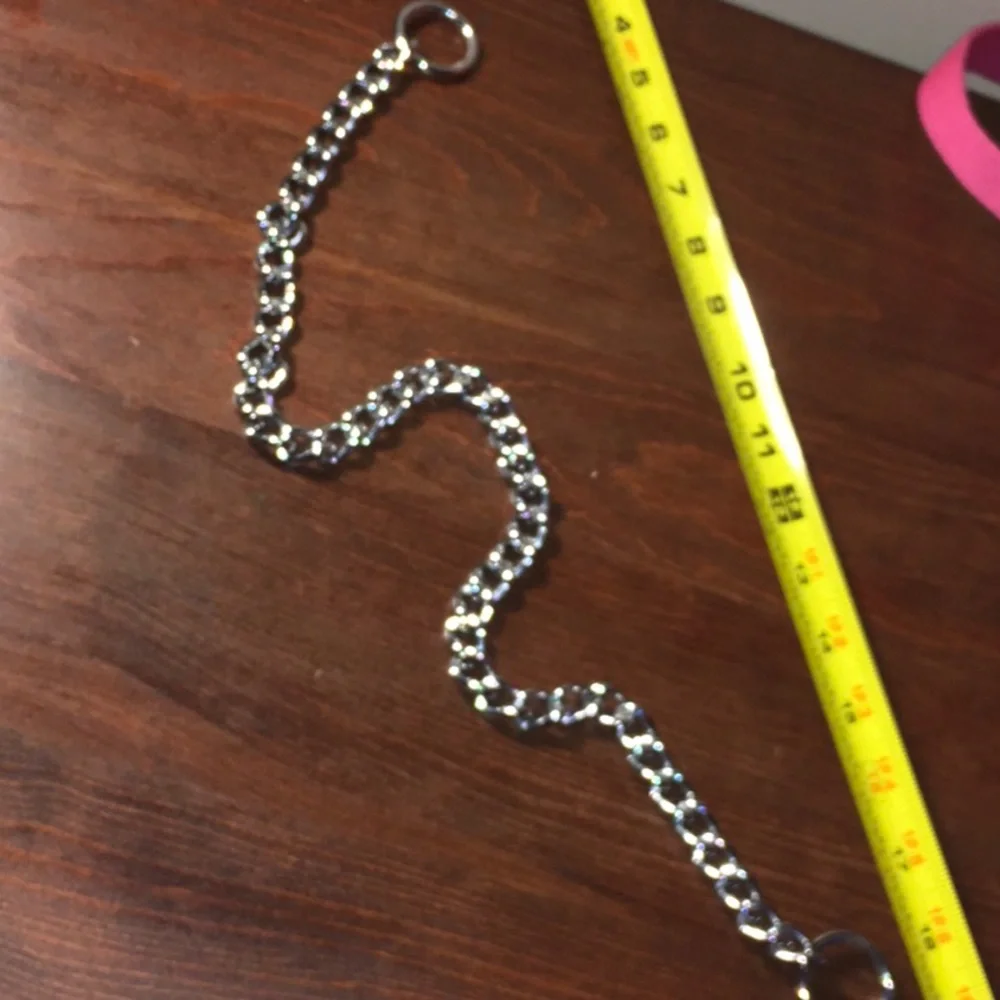 Dog Choke Collar NWOT